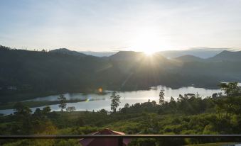 Camellia Hills