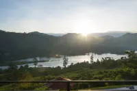 Camellia Hills Hotels in Hatton