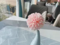 Luchun Duma Hotel Hotels in Lüchun County