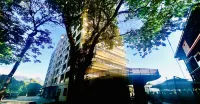 Kinton hotel 티씨케이 짚라인 주변 호텔