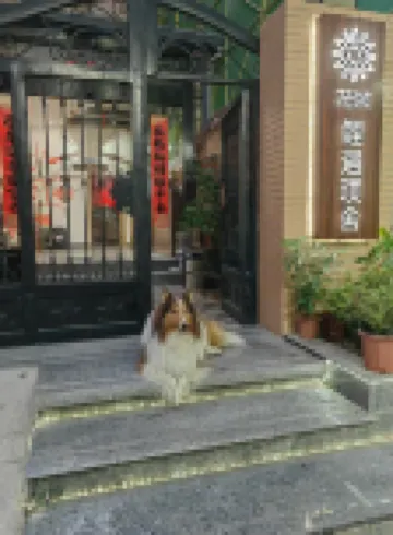 花築.鯉遇璞舍（泉州西街開元寺店） 泉州酒店