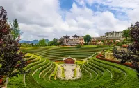 Jinyu Hotel (Shexiang Guzhen)