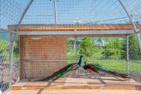 Erguna City Enhe Wanting Wangyuanshan Homestay