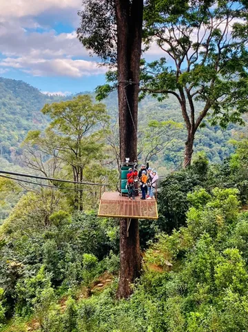 รูปภาพของเดอะจังเกิ้ลทัช