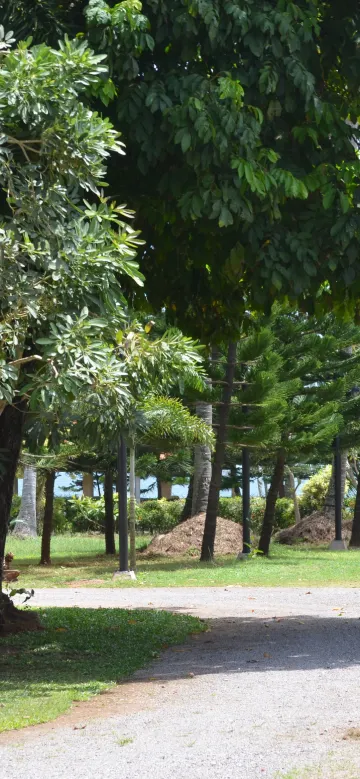 ซูพีเรียร์บังกะโล