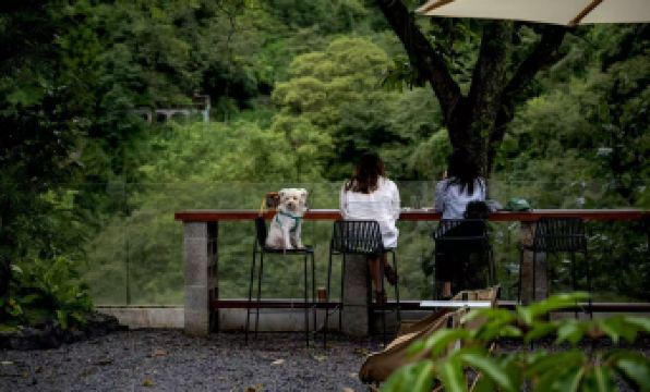 Trip.com Group Country Retreats (Mount Emei Yixi-Qingyin Joint Resort)