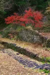LOSTVILLA·Gushe(Yuyao) - Bergblick