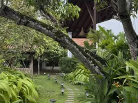 Palm Garden Ayurveda Resort Ahangama Hotels in Ahangama