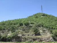 Dacheng Business Hotel - Mountain view