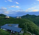 WILDRETREAT • QINLING TEA HIGHLANDS - Mountain view