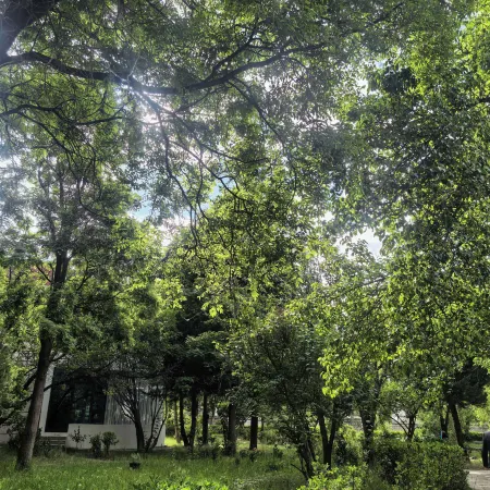 xizang hotel  （Norbulingka shop)