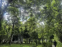 xizang hotel  （Norbulingka shop) - Scenic