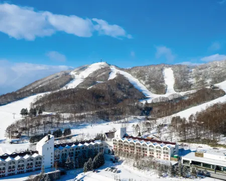 Rusutsu Resort Hotel & Convention Hotels in Rusutsu