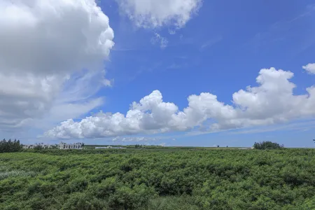 Cheese Cookie Homestay Отели рядом с достопримечательностью «Национальный пейзаж Чуйху»