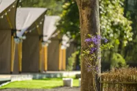 Grow Tree Glamping Hotels in Miaoli
