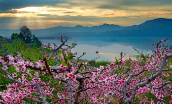 Shangkeyou Chain Hotel (Dandongyalujiang Bridge Area Store