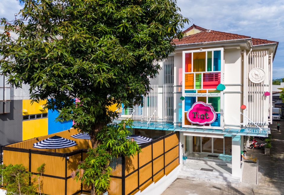 3. 더 틴트 앳 푸..