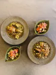 Manju Sattva Healing Resort - فطور