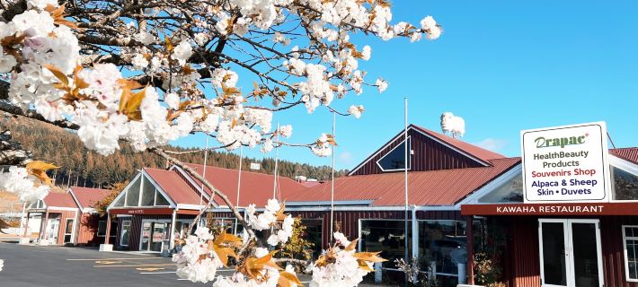 Awa Hotel Hotels in Rotorua