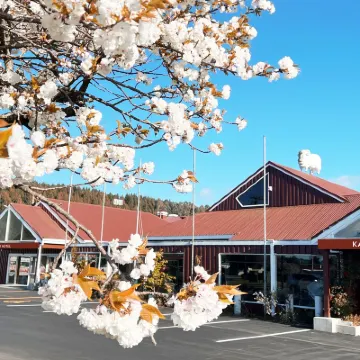 Awa Hotel Hotels near Agrodome