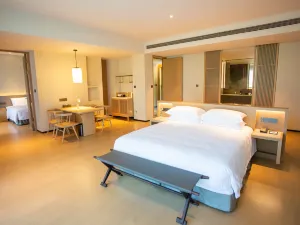 龍游天元度假飯店（湖鎮老街店）