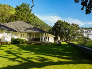W15 Hanthana Estate Kandy