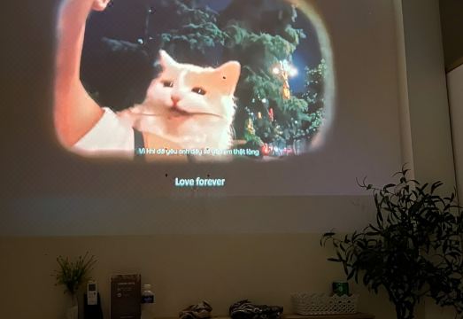 응우옌 캉 호텔