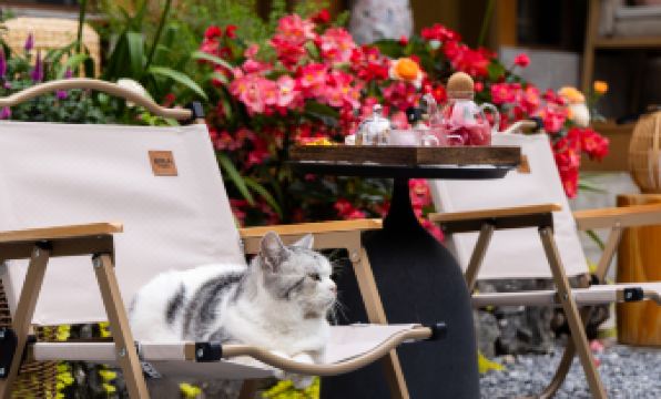 Yinxiju Hotel  (Near Zhongyi Market, Mufu，Sifang Street Square)