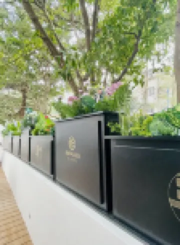 美齡閣酒店（南京中山陵景區梧桐大道店）