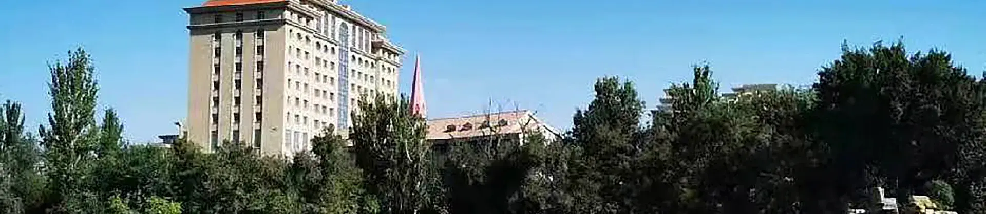 Migliori 10 Sapore locale vicino Ili