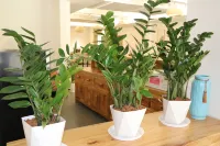 Resource Longdongxia Half day Leisure Hotel - breakfast