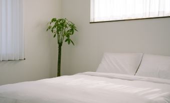 Hamdeok Beach and Gimnyeong Beach sea view accommodation 5 minutes walk from London Beagle Monttan