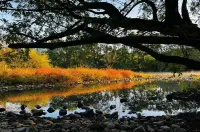 Jinyun · Life Chenyu | Meijing Homestay (Xiandu Scenic Area) - pemandangan pegunungan