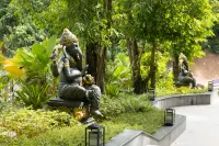Blossom Land Xishuangbanna - Mountain view