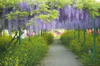 花築·無錫陽山桃緣山荘 - マウンテンビュー