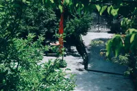 Flowerfields Cafe&Bar&Guesthouse