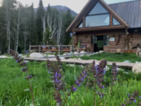 Cezanne Art hotel Hotels near Hemu Viewing Platform