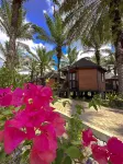 OPINE.VILLAS