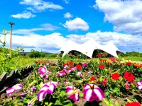 Ergunen and Arcadia Homestay