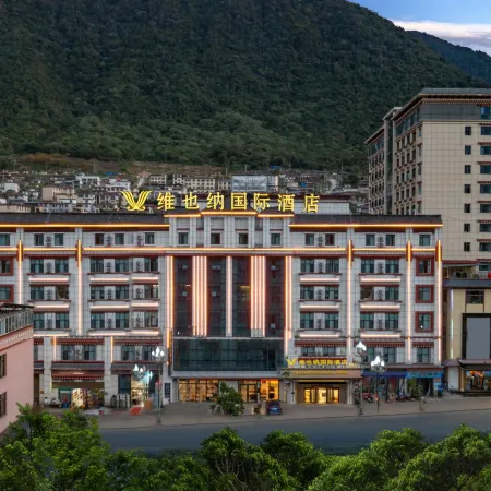 Vienna International Hotel (LinZhi Motuo Branch)