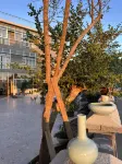 Chengfeng B&B (Jingdezhen North High-speed Railway Station)
