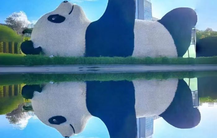 Dujiangyan KMF Yingsu Smart Hotel (Dujiangyan Scenic Area)