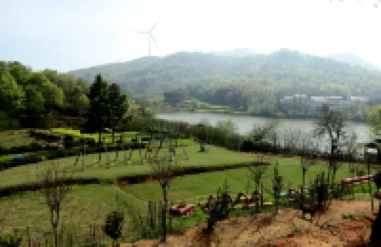 Qinglongyi Homestay
