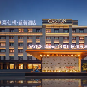 GASTON Blueberry Hotel