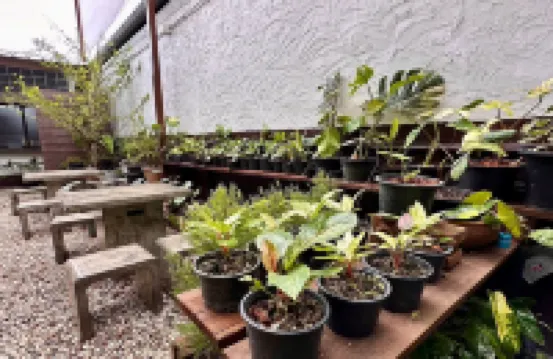 นวลนิล ซีเคร็ท คอร์ทยาร์ด