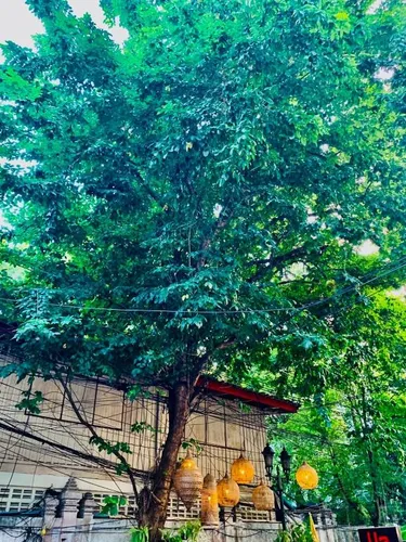 รูปภาพของโรงแรมอีซี่ซันเดย์สำหรับคู่รักและครอบครัว กรุงเทพ