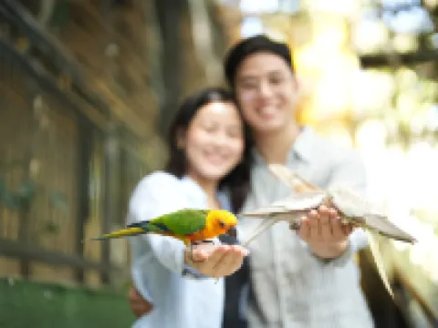 The Ravine by One Selah 因當酒店