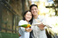 The Ravine by One Selah