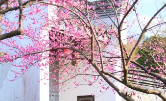 Blossom House Jiuhua Mountain