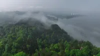桃花源・雲隠